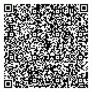 vCard 79580260131
