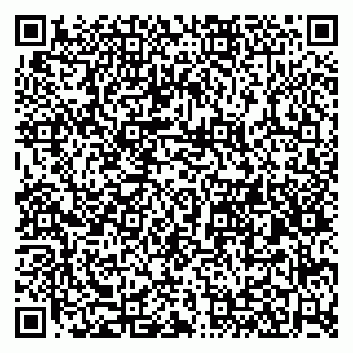 vCard 79580260173