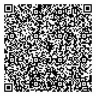 vCard 79580260177
