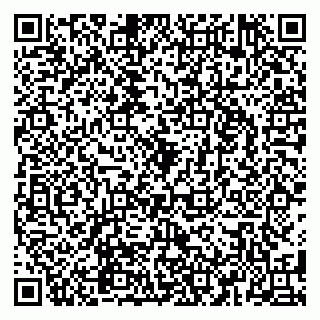 vCard 79580260203