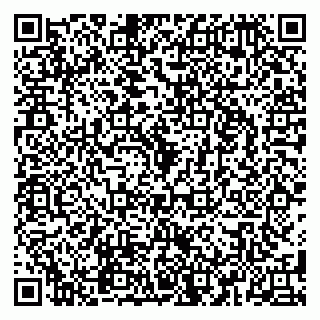 vCard 79580260208