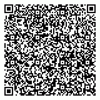 vCard 79580260232