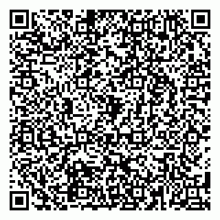 vCard 79580260234