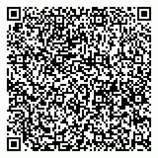 vCard 79580260238