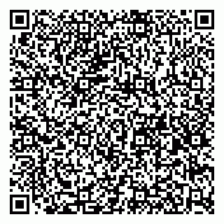 vCard 79580260271