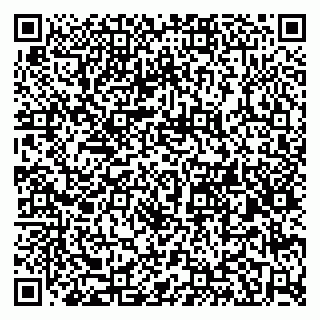 vCard 79580260290