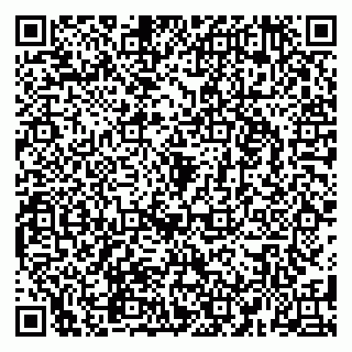 vCard 79580260291