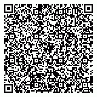 vCard 79580260304