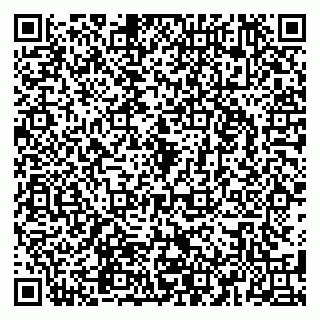 vCard 79580260307