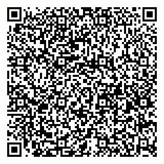 vCard 79580260313