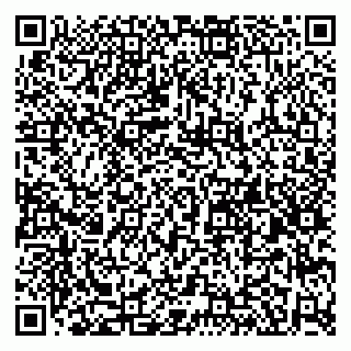vCard 79580260318