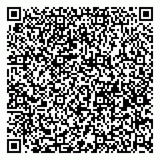 vCard 79580260323