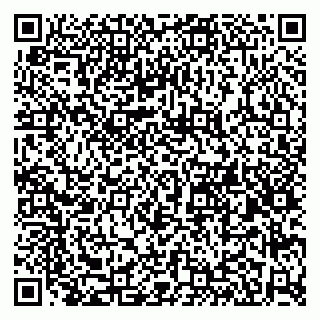 vCard 79580260329
