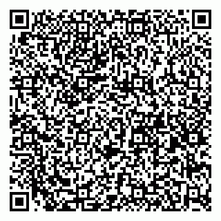 vCard 79580260331