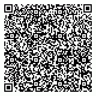 vCard 79580260339