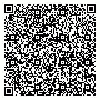 vCard 79580260374