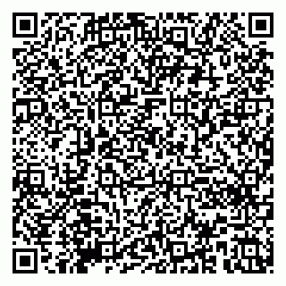 vCard 79580260378