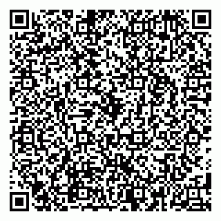 vCard 79580260379