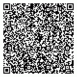 vCard 79580260381