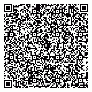 vCard 79580260382