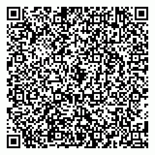 vCard 79580260383