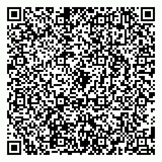 vCard 79580260385
