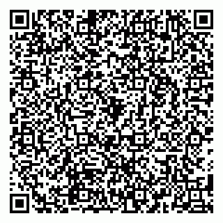 vCard 79580260387