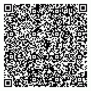 vCard 79580260389