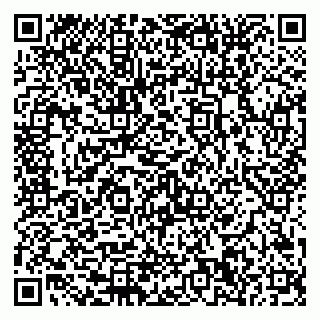 vCard 79580350234