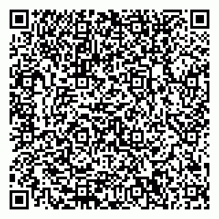 vCard 79580350297