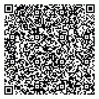 vCard 79580350329