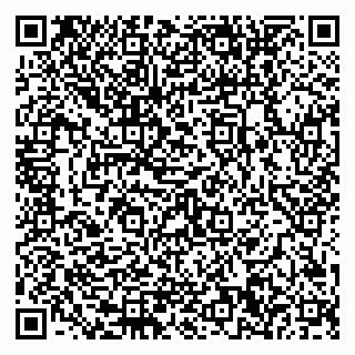 vCard 79580350380