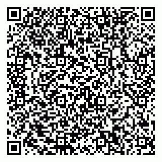 vCard 79580350387