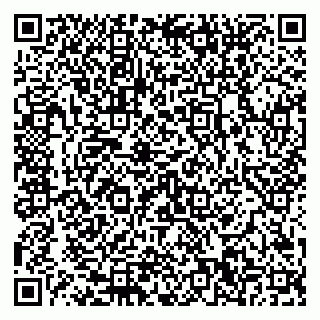 vCard 79580350411