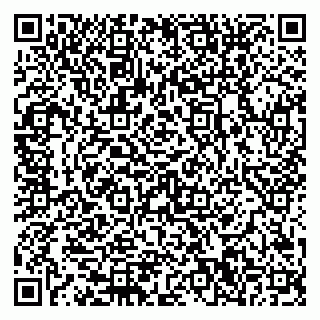 vCard 79580350413