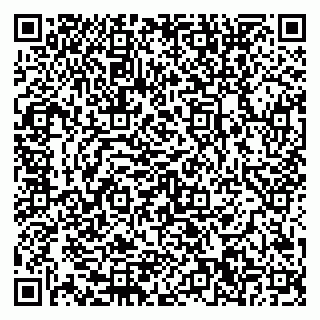 vCard 79580350481