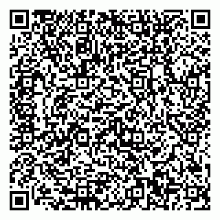 vCard 79580350499