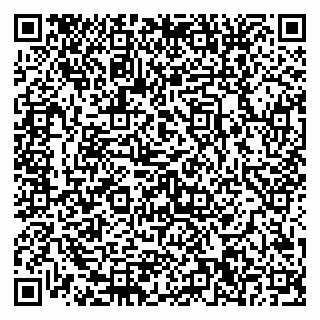 vCard 79580350631