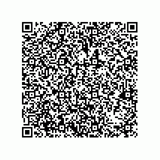 vCard 79580650013
