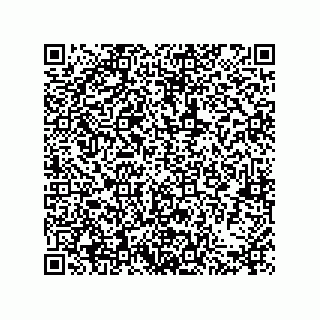 vCard 79580650100