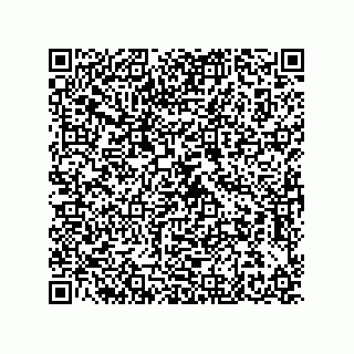 vCard 79580650119