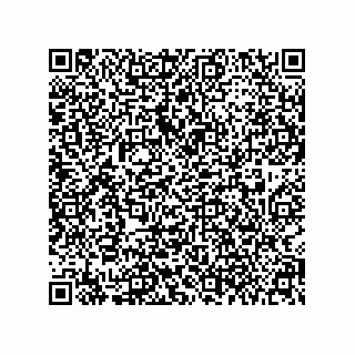 vCard 79580650131