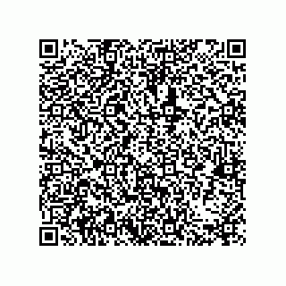 vCard 79580650295