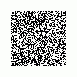vCard 79580650378