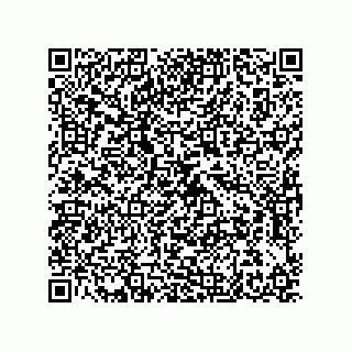 vCard 79580650381