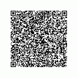 vCard 79580650383
