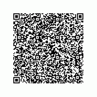 vCard 79580650397