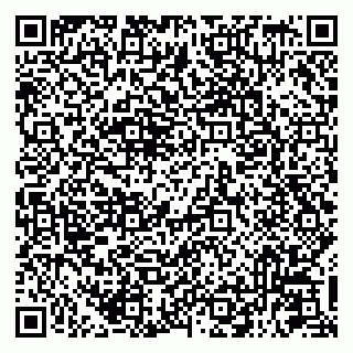 vCard 79581699037