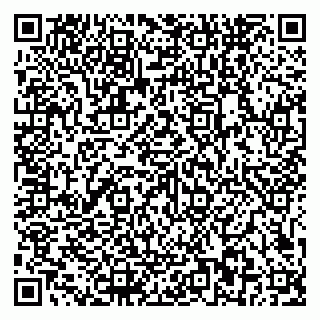vCard 79581862029