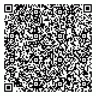 vCard 79581862031